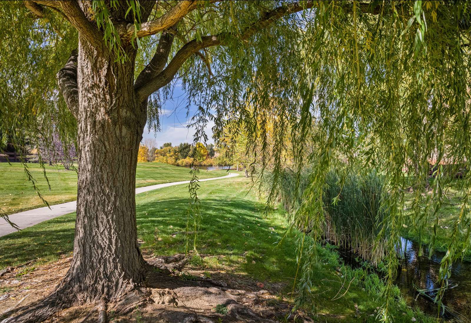 Erie, Frederick & Firestone Photo